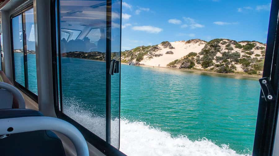 From Goolwa: Murray Mouth Cruise - Who this cruise suits best, and who should think twice