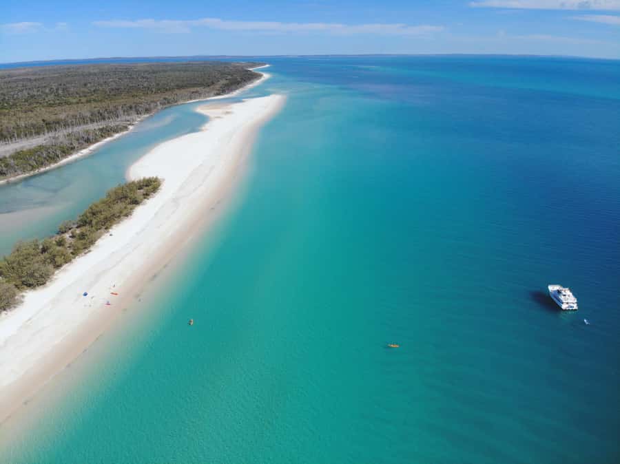 From Hervey Bay: Half-Day K'gari Fraser Island Beach Cruise - Entering the Day: How a 5-Hour Half-Day Works