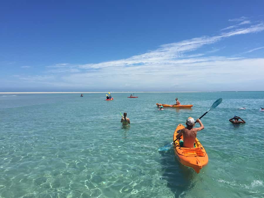 From Hervey Bay: Half-Day K'gari Fraser Island Beach Cruise - Where the Beach Time Happens: Pelican Banks vs Kgari Shore