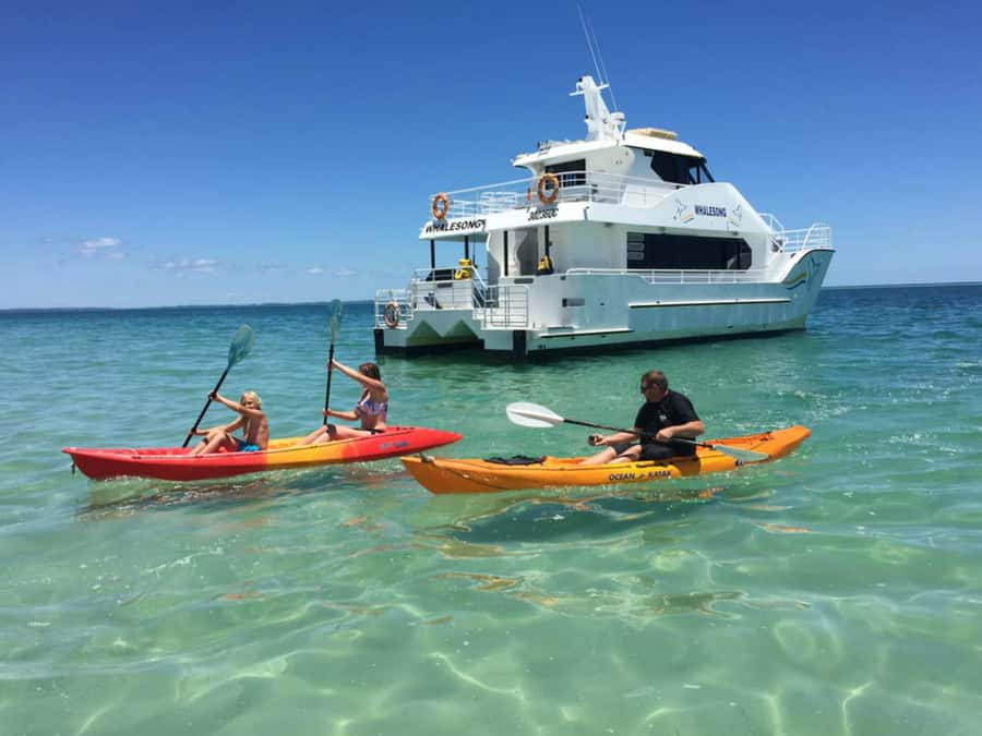From Hervey Bay: Half-Day K'gari Fraser Island Beach Cruise - The Main Event: Swim, Snorkel, Kayak, Tube Ride