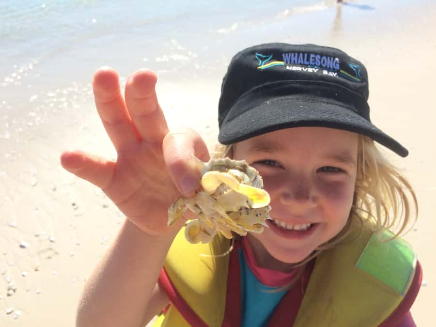 From Hervey Bay: Half-Day K'gari Fraser Island Beach Cruise - Logistics You Should Plan For Before You Arrive