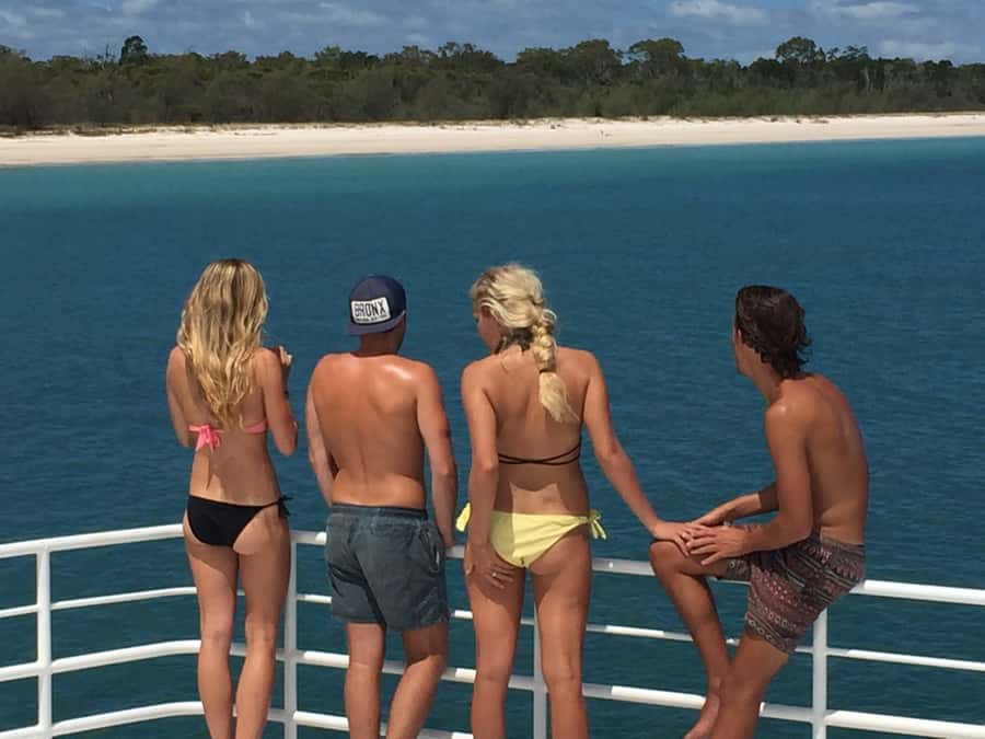 From Hervey Bay: Half-Day K'gari Fraser Island Beach Cruise - What You Can See on the Way: Dolphins, Turtles, Dugongs