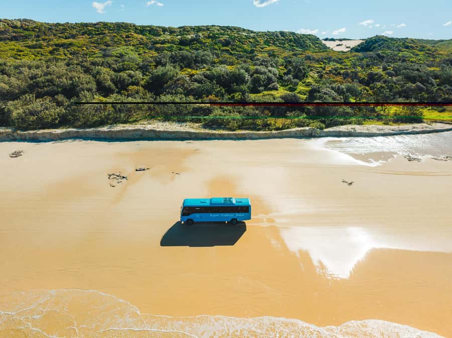 From Hervey Bay: K'gari, Fraser Island Full-Day Coach Tour - Central Station and Wanggoolba Creek: rainforest on a boardwalk