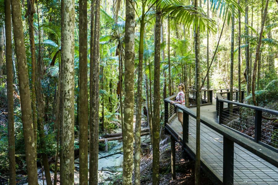 From Hervey Bay: K'gari, Fraser Island Two-Day Coach Tour - Key highlights I’d plan around