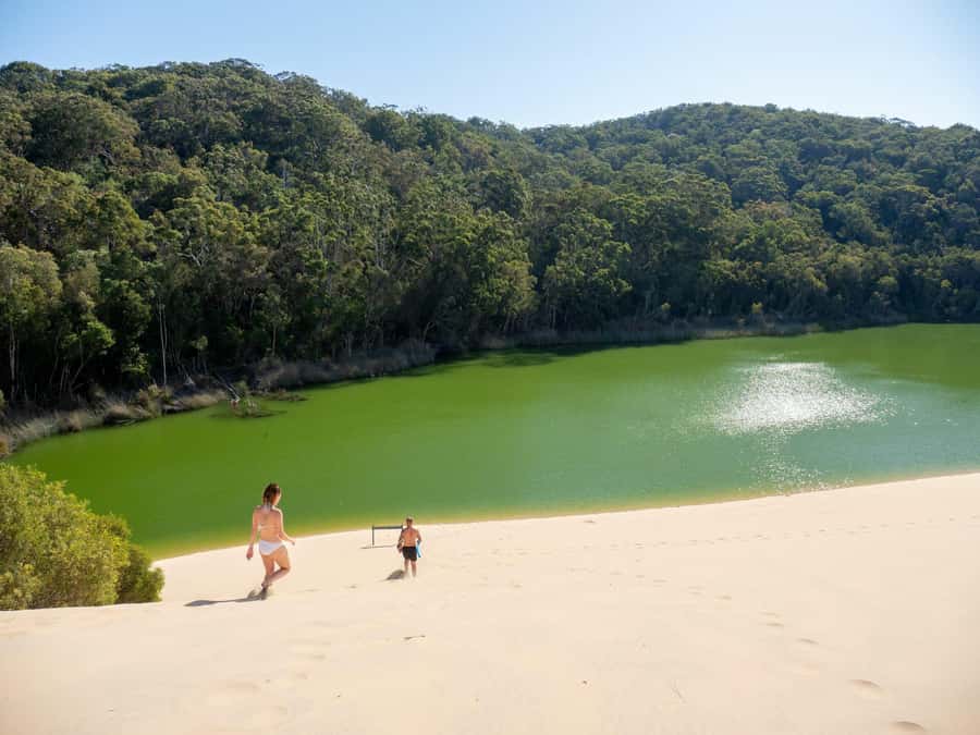 From Hervey Bay: K'gari, Fraser Island Two-Day Coach Tour - Getting There: Hervey Bay Pickup and the Great Sandy Marine Park Cruise