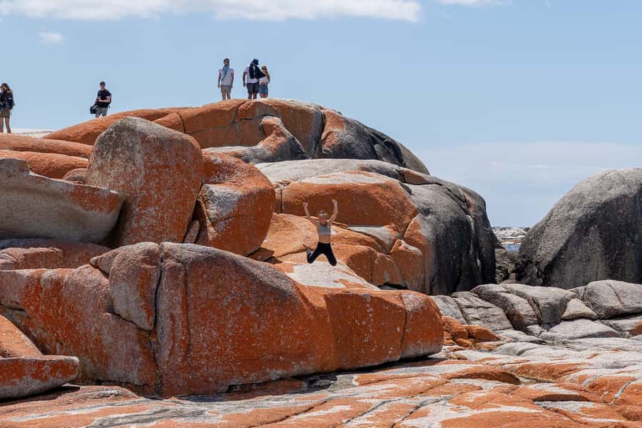 From Hobart: 5-Day Tasmania West & East Coast Tour - Key highlights at a glance