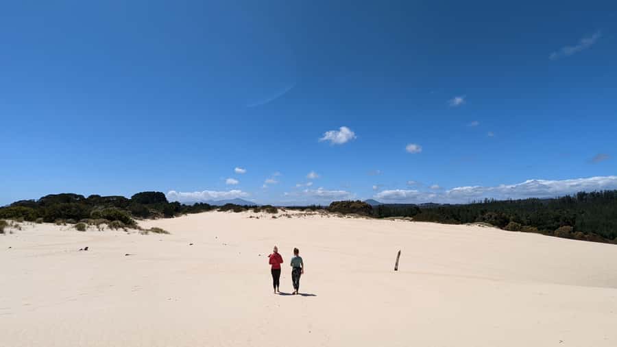 From Hobart: 5-Day Tasmania West & East Coast Tour - Day 4: Bay of Fires white sand, orange lichen rocks, and palawa culture