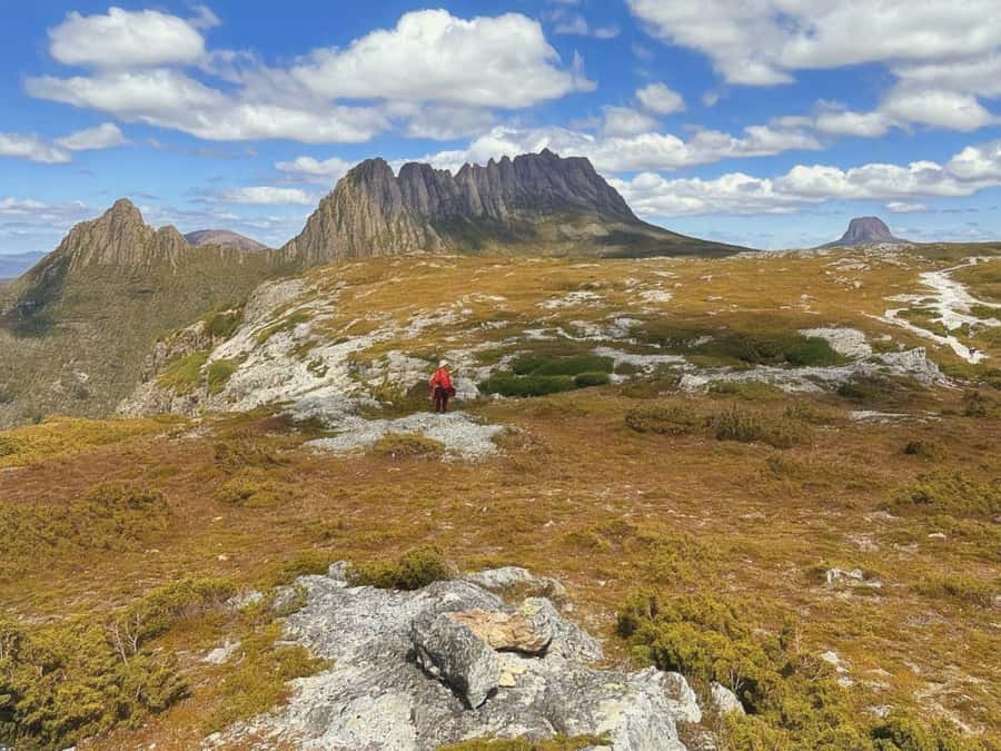 From Hobart: Active Day Trip to Cradle Mountain - Wildlife moments: wombats, platypus, echidnas, and other surprises