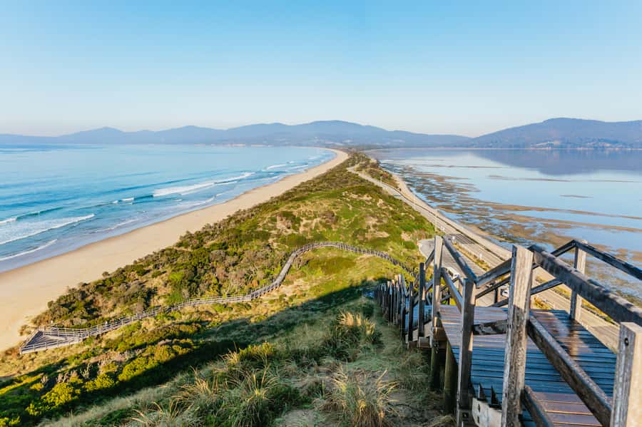 From Hobart/Adventure Bay: Bruny Island Wilderness Cruise - Key highlights worth your attention