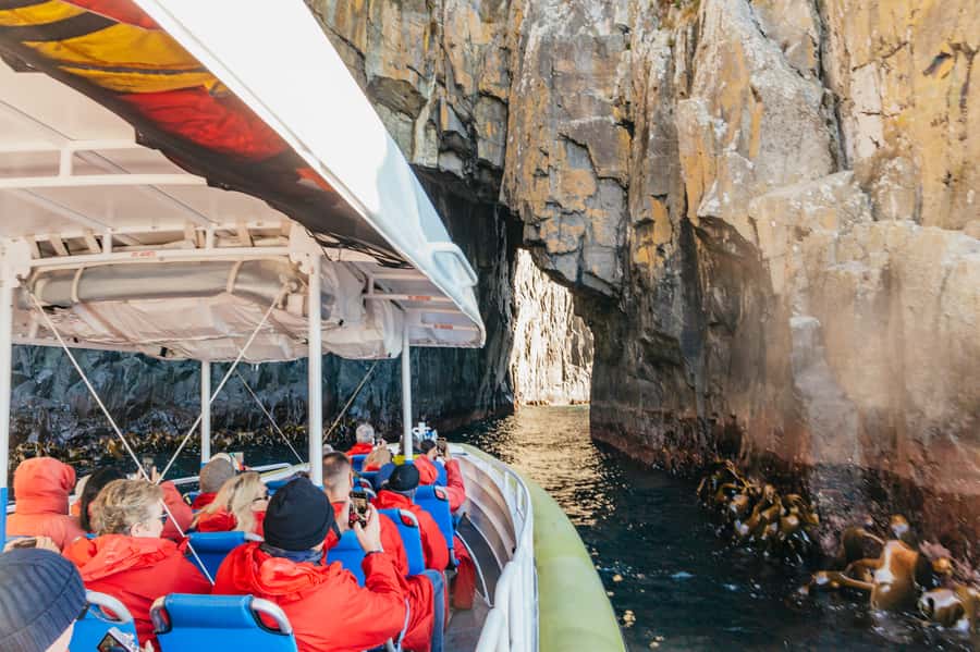 From Hobart/Adventure Bay: Bruny Island Wilderness Cruise - Planning Your Cruise: Hobart start or Adventure Bay start