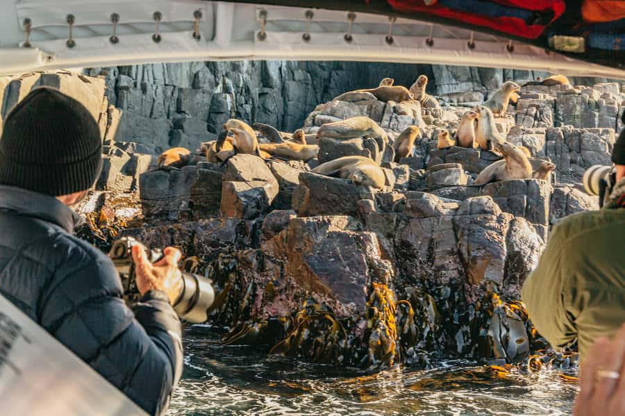From Hobart/Adventure Bay: Bruny Island Wilderness Cruise - Where the cruise takes you: Breathing Rock, caves, and The Monument gap