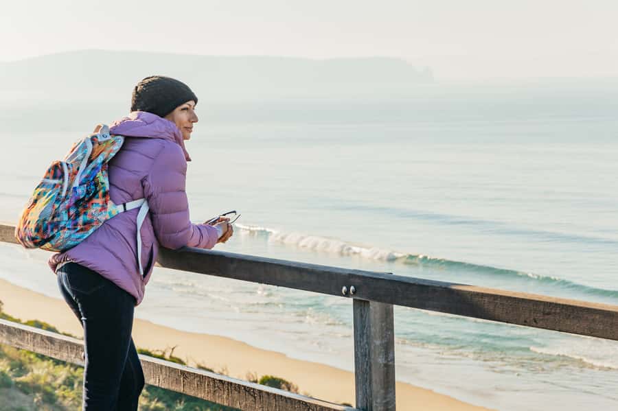 From Hobart/Adventure Bay: Bruny Island Wilderness Cruise - Why Friars is the wildlife moment: seals, nesting seabirds, and a quiet approach