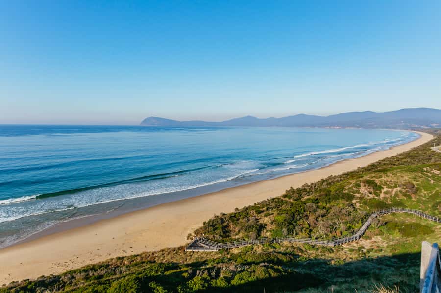 From Hobart/Adventure Bay: Bruny Island Wilderness Cruise - After the cruise: Exploring Bruny Island and the optional bus return to Hobart