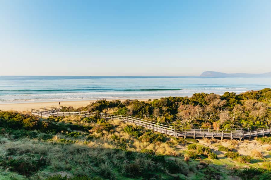 From Hobart/Adventure Bay: Bruny Island Wilderness Cruise - Price and value: What $127 buys you, and what it does not
