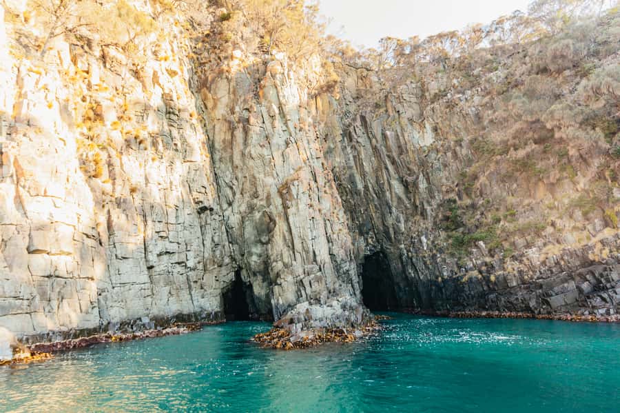 From Hobart/Adventure Bay: Bruny Island Wilderness Cruise - The Boat Experience: Open-air views, fast pace, and real wildlife searching