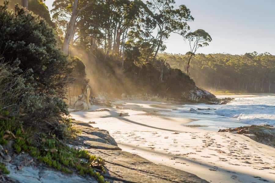 From Hobart: Full-Day Bruny Island Tour with Guide - Getting From Hobart to Bruny Island: pickup, ferry, and air-conditioned comfort