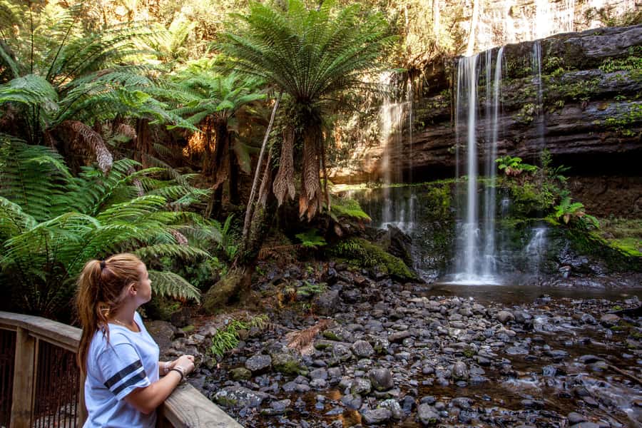 From Hobart: Mt. Field, Mt. Wellington and Wildlife Day Tour - Price and value: is $130 a fair deal for this one day?