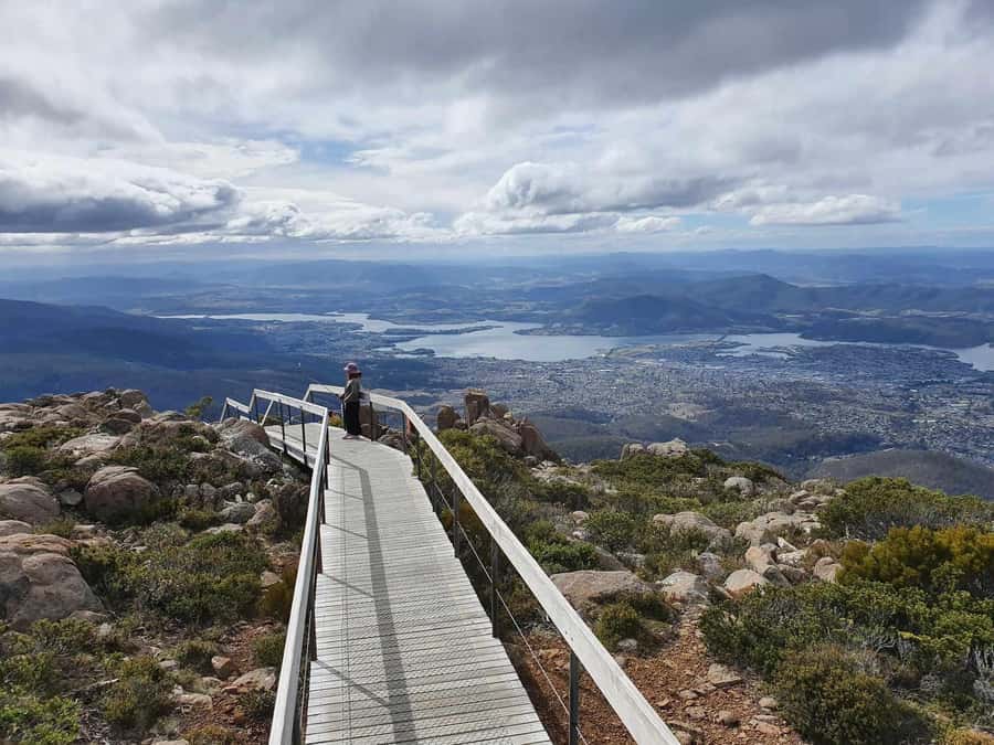 From Hobart: Mt Wellington Pinnacle 2 Hour Small Group Tour - Through eucalyptus forests and Ferntree’s cool-climate gardens