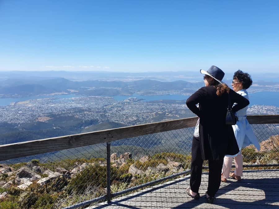 From Hobart: Mt Wellington Pinnacle 2 Hour Small Group Tour - Tree line to the Pinnacle: climbing, noticing, and asking questions