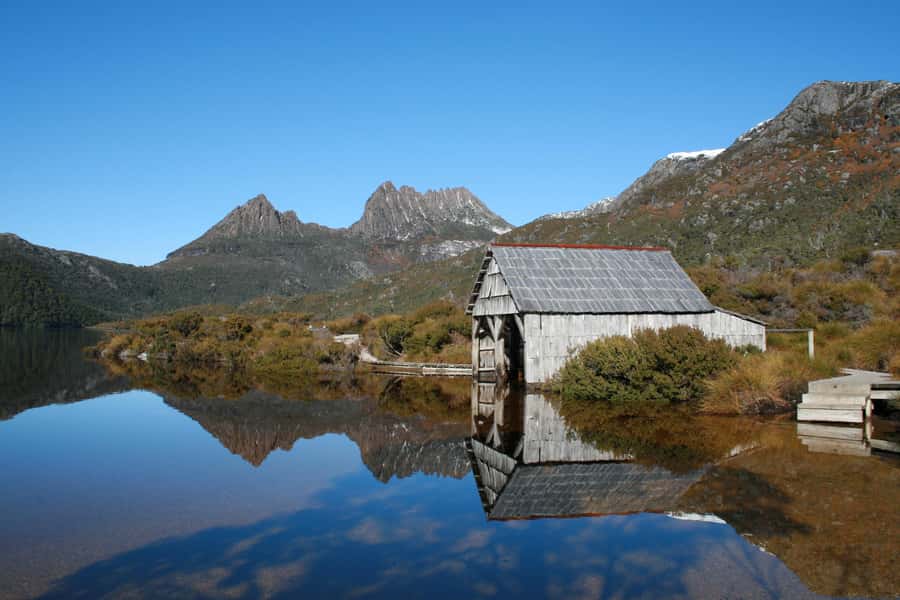 From Launceston: Cradle Mountain - Active Day Tour - Key points to know before you go