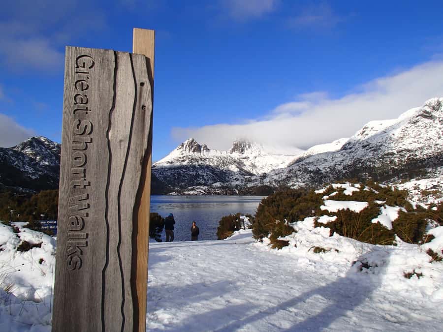 From Launceston: Cradle Mountain - Active Day Tour - Rainforest City tracks and the kind of nature you can actually feel