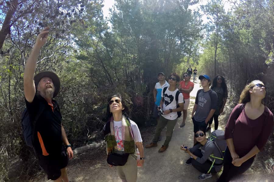 From Launceston: Full-Day Wineglass Bay Explorer Active Tour - Honeymoon Bay and Sleepy Bay stops that actually help the story