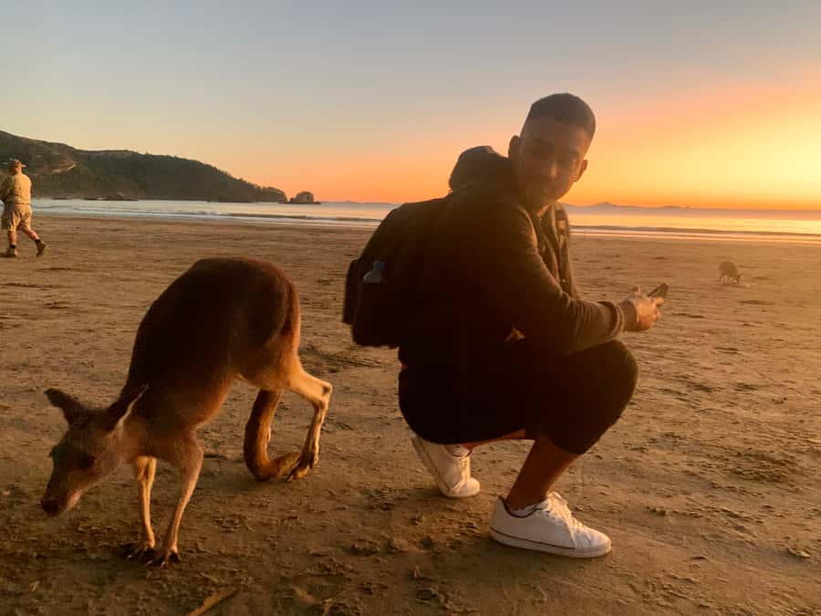 From Mackay: Wallabies on the Beach Sunrise Trip - Cape Hillsborough sunrise: why the timing matters so much