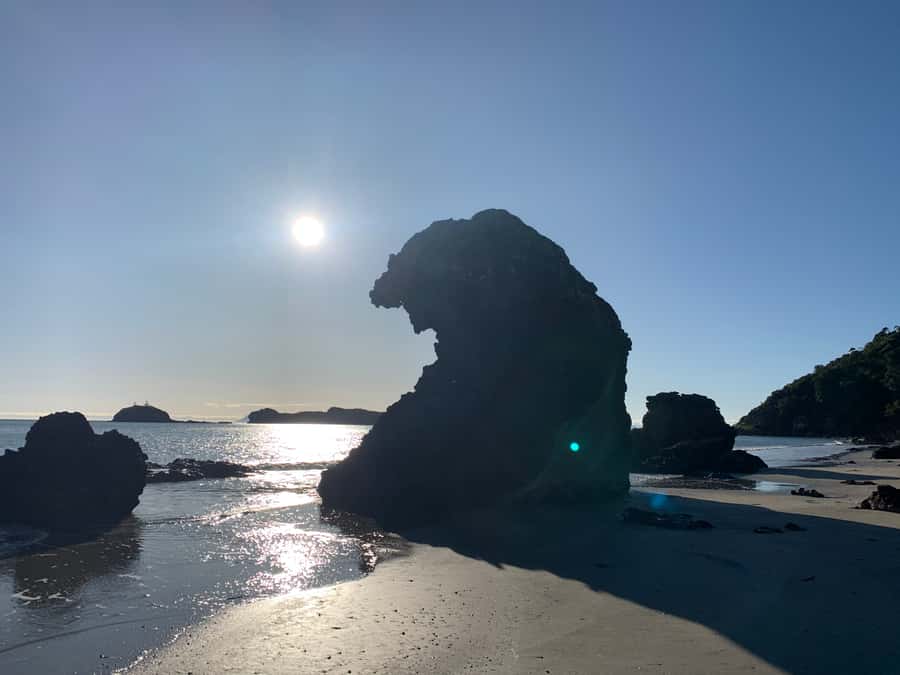 From Mackay: Wallabies on the Beach Sunrise Trip - Small-group comfort and the role of the driver and guides