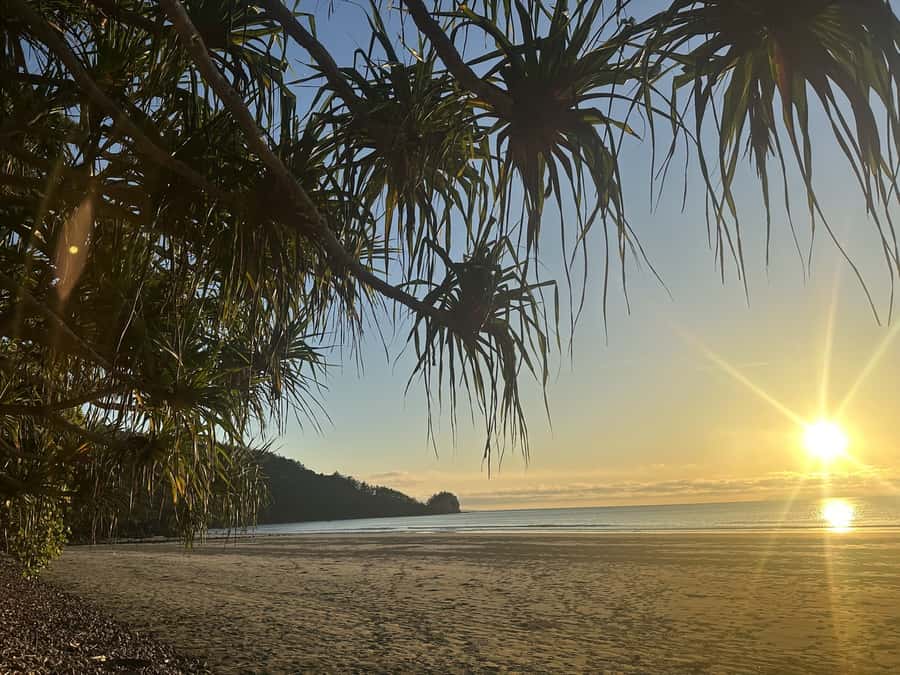 From Mackay: Wallabies on the Beach Sunrise Trip - Who should book this wallaby and sunrise trip