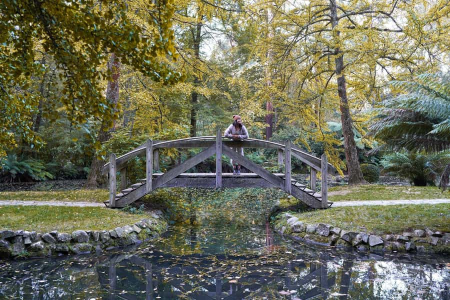 From Melbourne: Dandenong Ranges Private Day Tour - Dandenong Ranges Botanic Gardens and the Chelsea Australian Garden