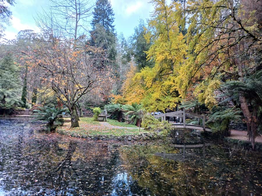 From Melbourne: Dandenong Ranges Private Day Tour - What to pack and how to dress for comfort