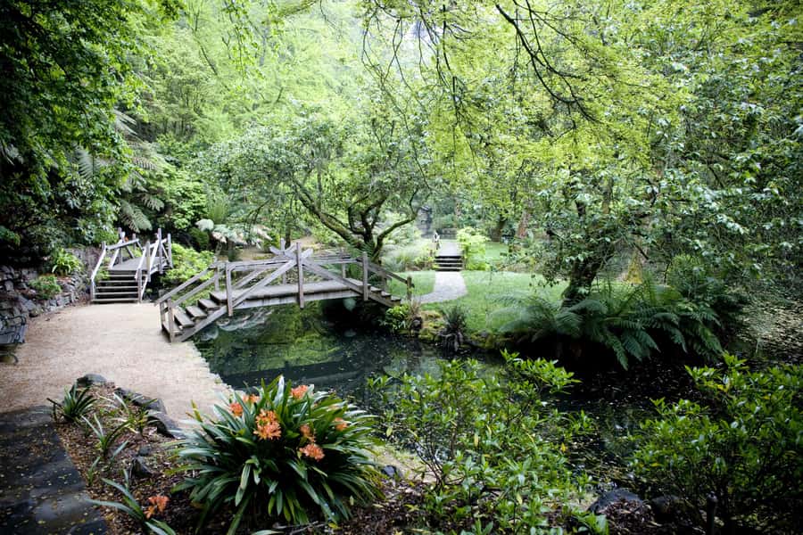 From Melbourne: Dandenong Ranges Private Day Tour - Forest walk in eucalyptus and fern trees, plus bird spotting chances