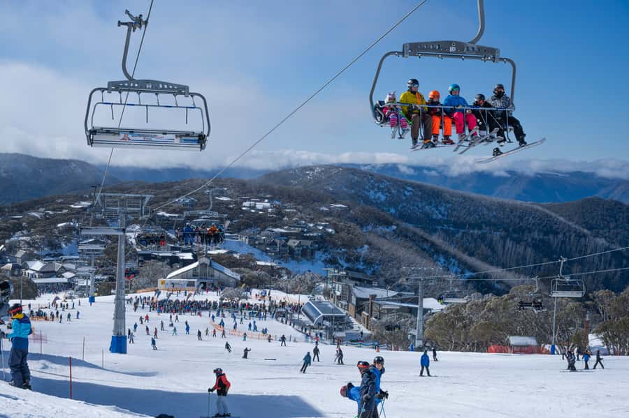 From Melbourne: Day Trip to Mt Buller by Premium Tour Coach - Key Things I’d Bank On Before You Go