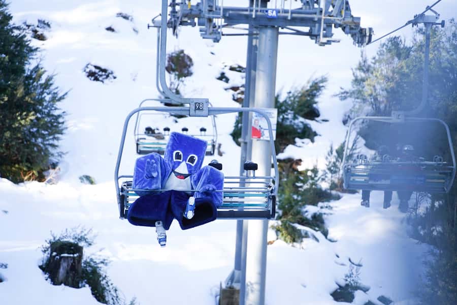 From Melbourne: Day Trip to Mt Buller by Premium Tour Coach - Southern Cross to Snow Time: How the Coach Ride Works