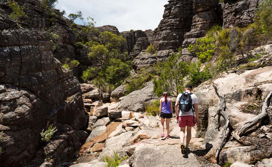 From Melbourne: Grampians National Park Group Tour - Leaving Melbourne: Pickup Rhythm, Comfort, and How the Day Flows