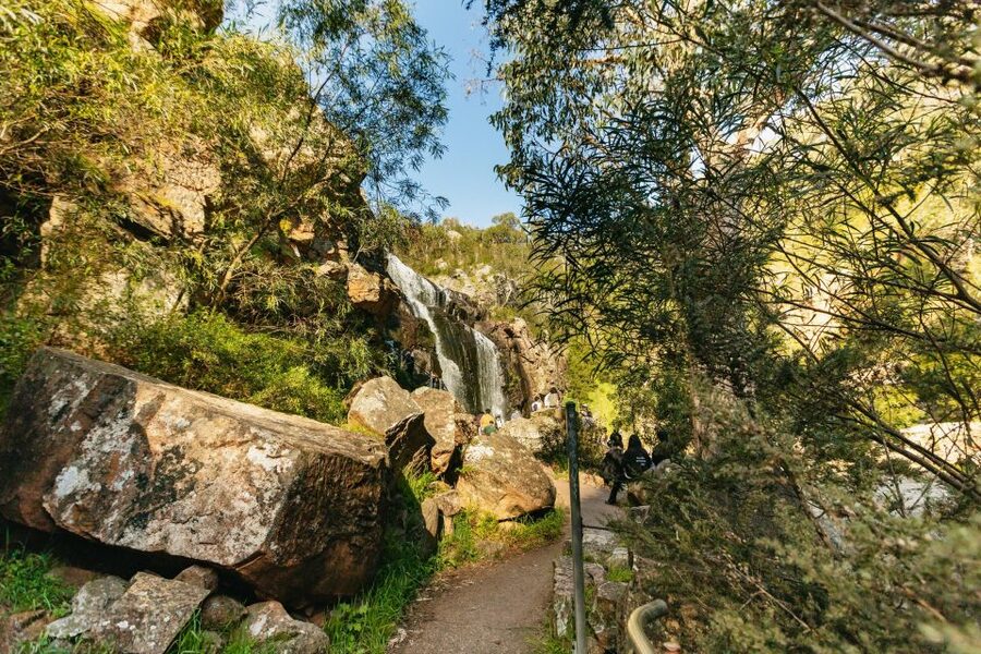 From Melbourne: Grampians National Park Group Tour - MacKenzie Falls: The Waterfall Stop Everyone Talks About