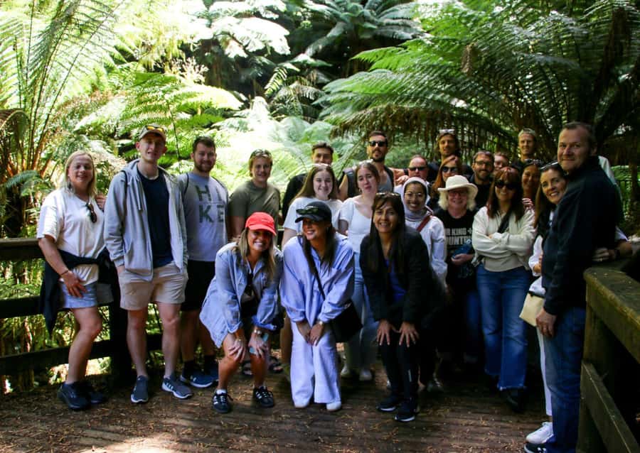 From Melbourne: Great Ocean Road & 12 Apostles Full-Day Tour - Loch Ard Gorge: cliff height, shipwreck context, and wildlife chances
