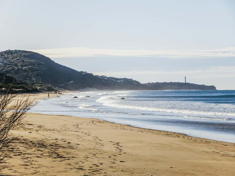 From Melbourne: Great Ocean Road, 12 Apostles, Wildlife Tour - Gibson Steps, the 12 Apostles, and what to watch for at sea level