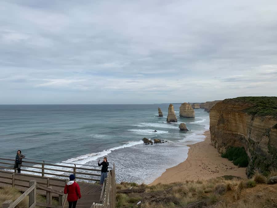 From Melbourne: Great Ocean Road Day Tour - Forest calm and a short rainforest walk, not just sea views