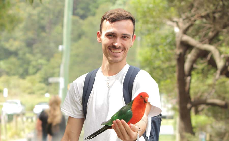 From Melbourne: Great Ocean Road Full-Day Guided Trip - Key Things I’d Make Sure You Know First