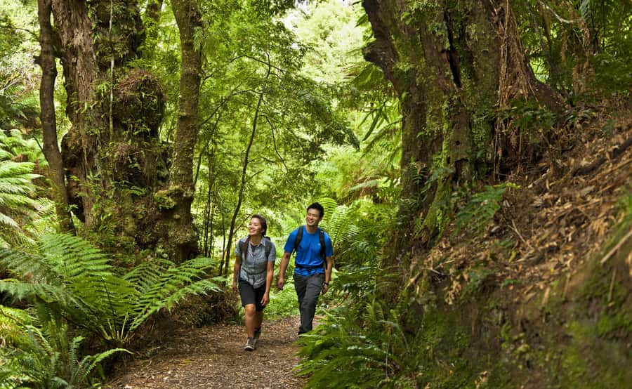 From Melbourne: Great Ocean Road Full-Day Guided Trip - Loch Ard Gorge: turquoise water and shipwreck stories that stick
