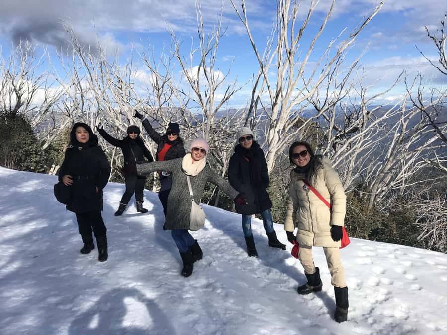 From Melbourne: Mt Buller Snow Day Small Group Boutique Tour - A 6am start that turns into real snow time