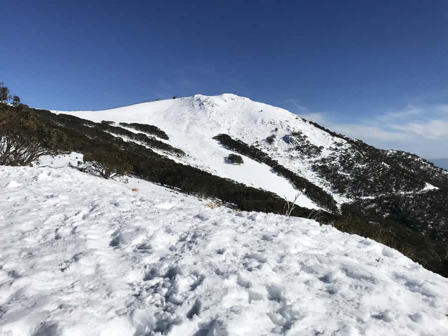 From Melbourne: Mt Buller Snow Day Small Group Boutique Tour - Optional Northside Express chairlift for that panoramic hit