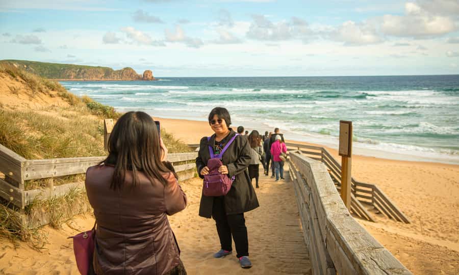 From Melbourne: Penguin Parade Afternoon Tour - Who this tour fits best, and who should skip it