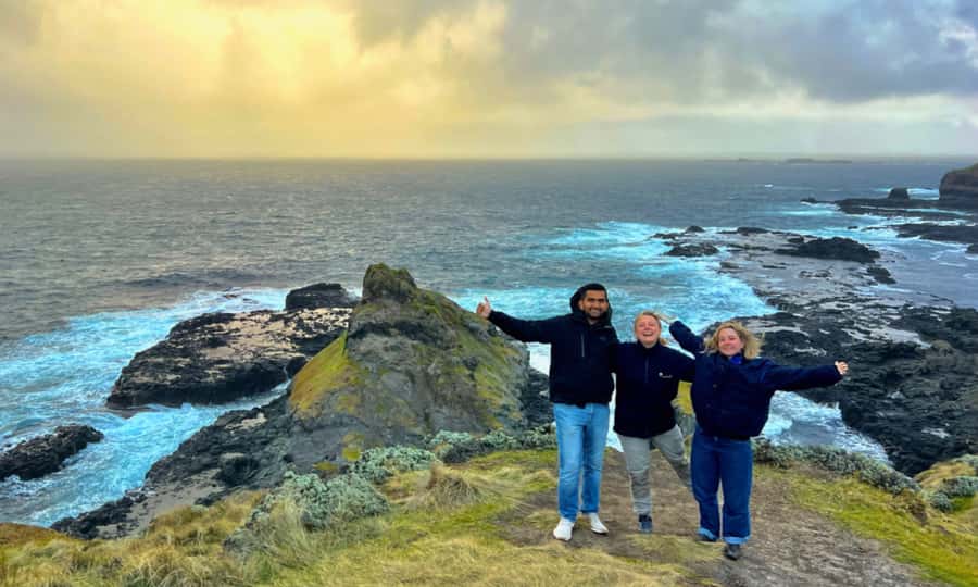 From Melbourne: Penguin Parade Afternoon Tour - Should you book this Penguin Parade afternoon tour?