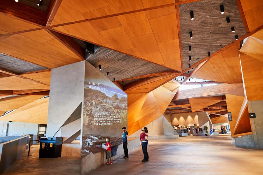 From Melbourne: Penguin Parade and Koalas Tour - Pickup at the Immigration Museum and coach comfort that actually helps