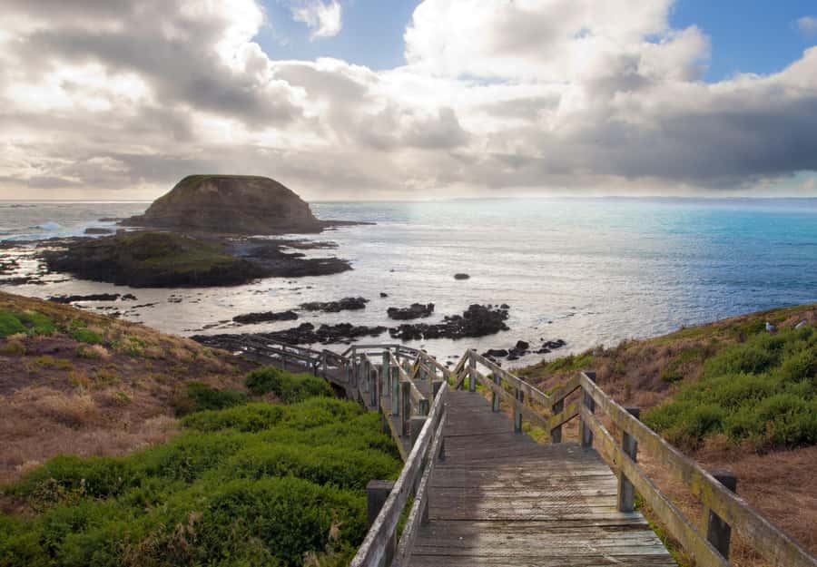 From Melbourne: Penguin Parade, Koalas & Kangaroos - Brighton Beach Boxes and the southern coast start in the open air