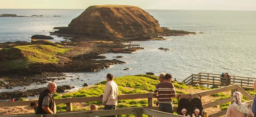 From Melbourne: Penguin Parade, Koalas & Kangaroos - Who should book this Phillip Island day trip, and who should skip it
