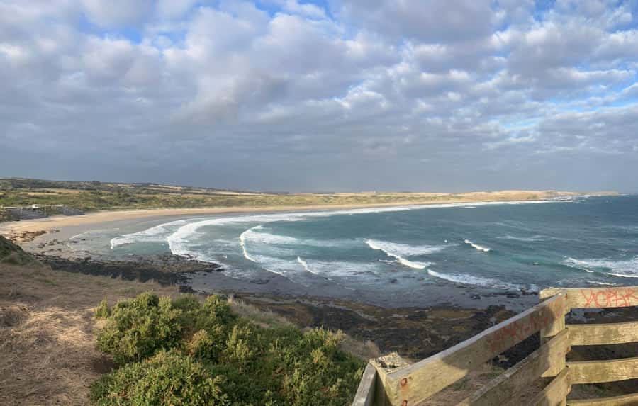 From Melbourne: Phillip Is Penguin Parade & Koala Reserve - Bass Coast cliff drive dirt road, where wallabies steal the show