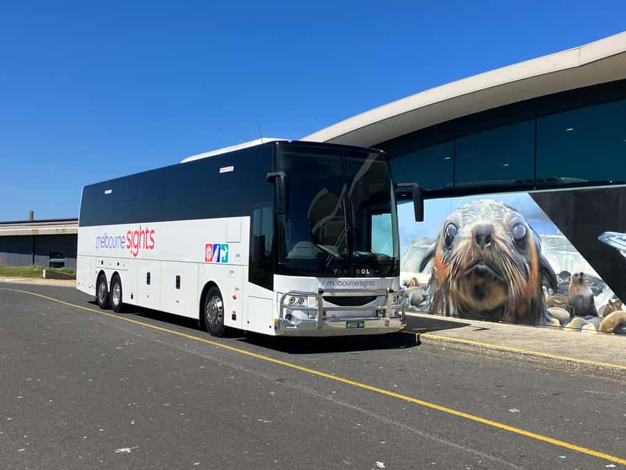 From Melbourne: Phillip Is Penguin Parade & Koala Reserve - Tips that make the day smoother (and your photos better)